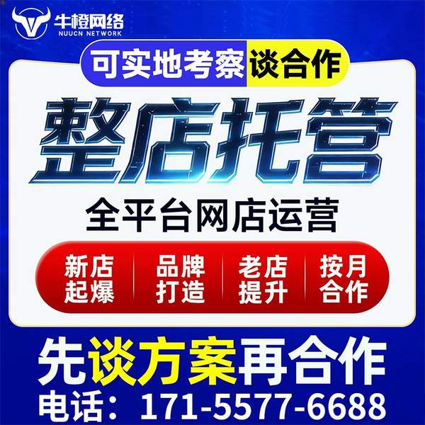 琼海电商代运营