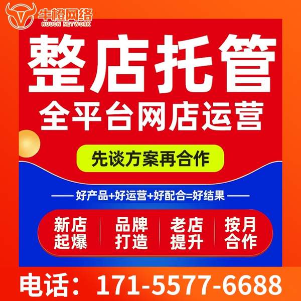 琼海电商代运营