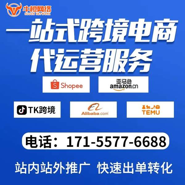 琼海电商代运营